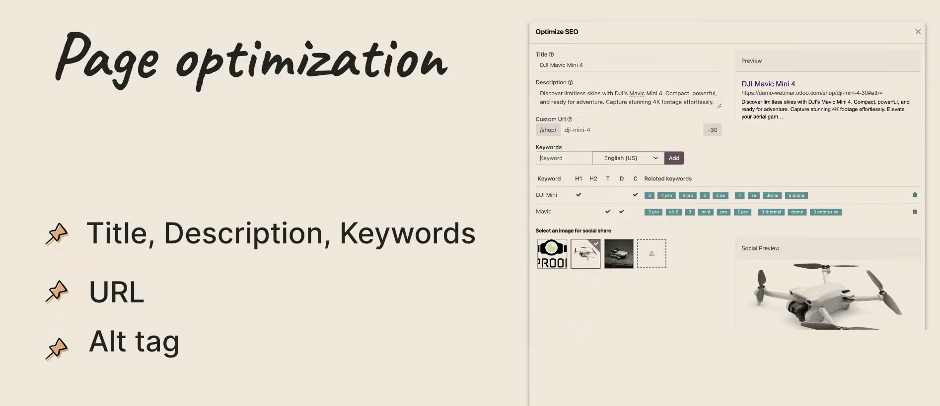 Page optimization features in odoo website screenshot